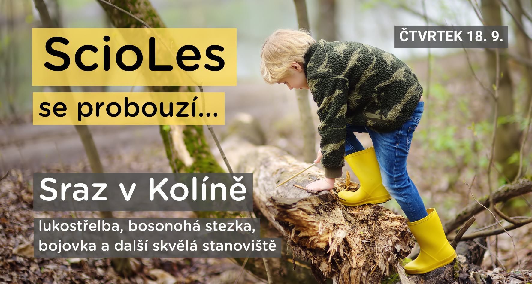 Scioles V Kolíně